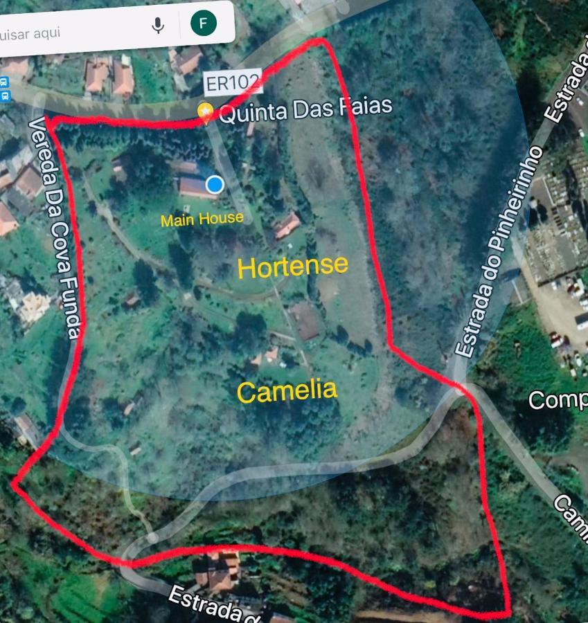 Quinta Das Faias Camacha  Eksteriør bilde