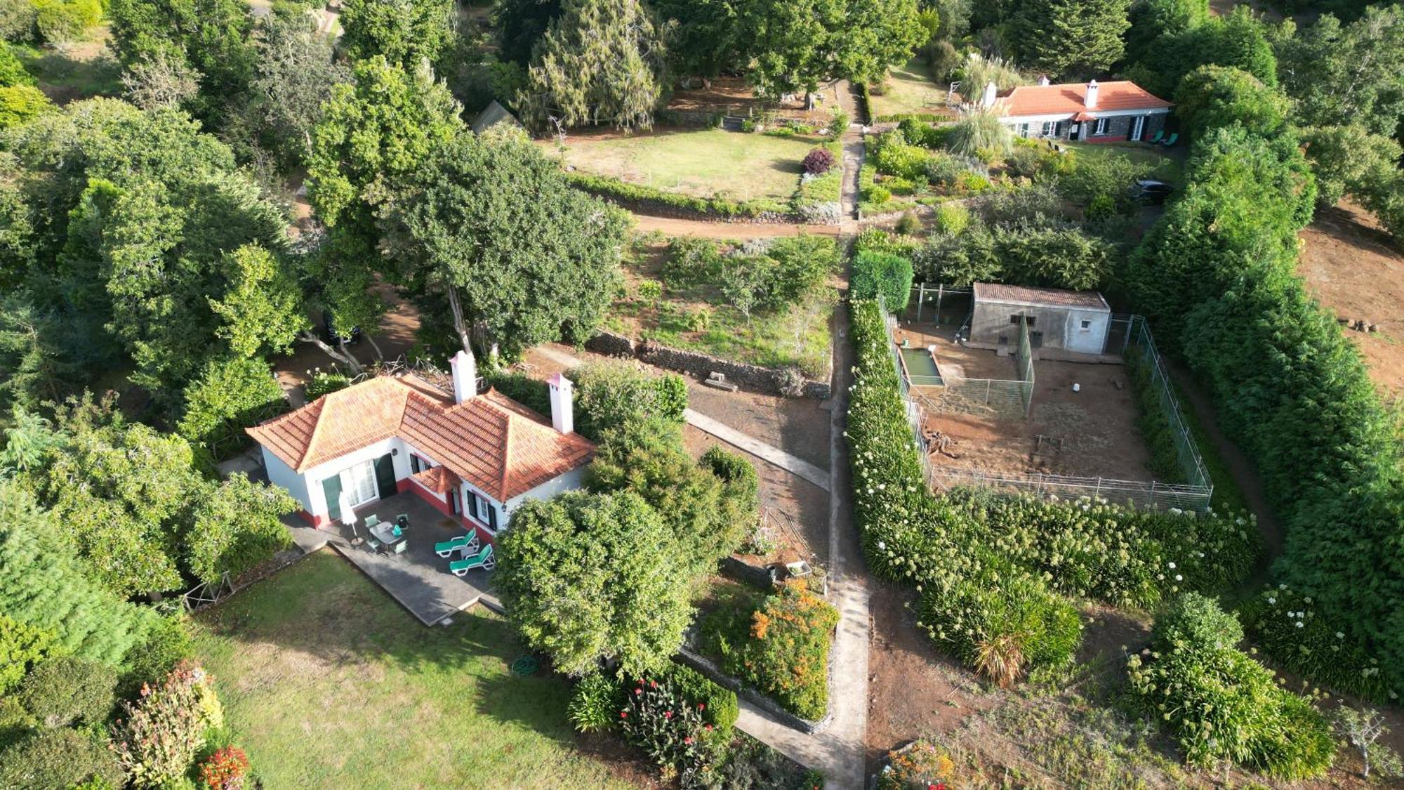Quinta Das Faias Camacha  Rom bilde