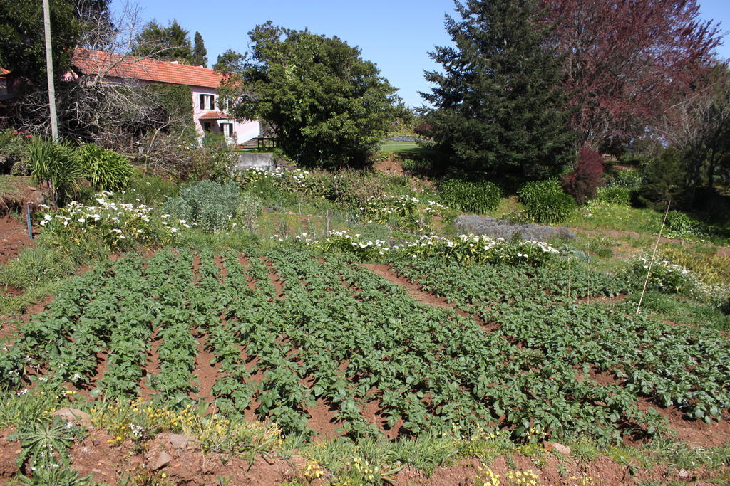 Quinta Das Faias Camacha  Eksteriør bilde