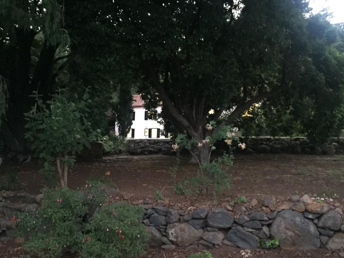 Quinta Das Faias Camacha  Eksteriør bilde